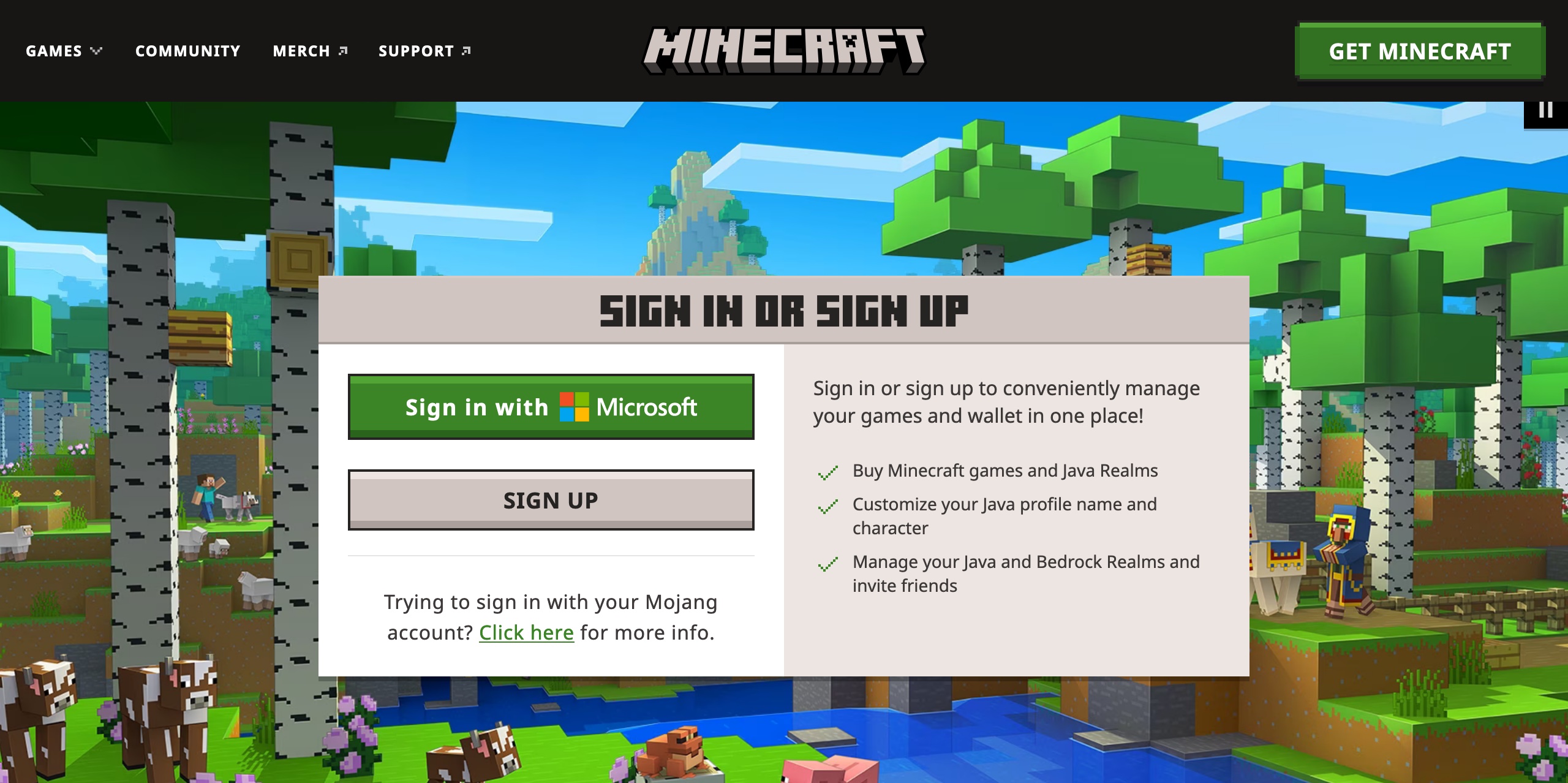 Minecraft login